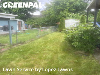 Lawn Mowing Service nearby Kent, WA, 