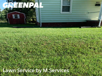 Lawn Cut nearby Greensboro, NC, 