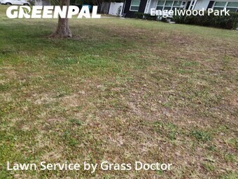 Lawn Cutting nearby Orlando, FL, 