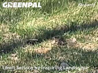 Lawn Care nearby Denver, CO, 