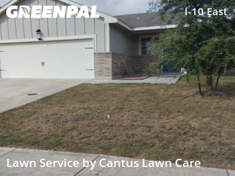 Yard Mowing nearby Converse, TX, 