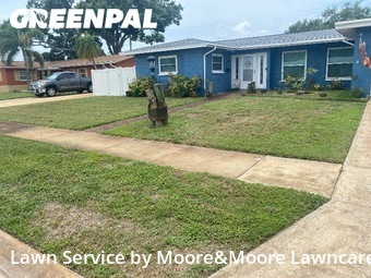 Lawn Cutting nearby St. Petersburg, FL, 