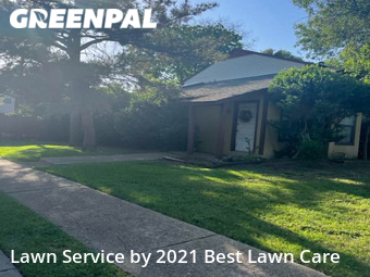Lawn Mow nearby Lewisville, TX, 