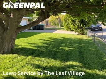 Lawn mowing work completed in Colton, CA