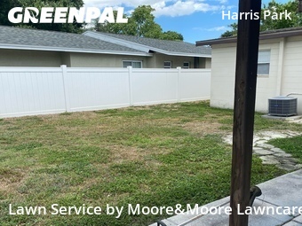 Grass Cut nearby Saint Petersburg, FL, 