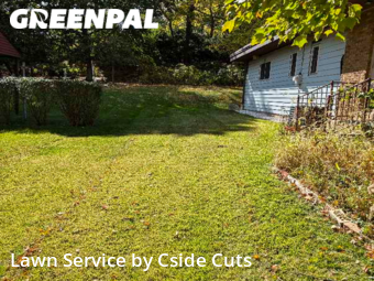 Yard Services in Glenshaw, 15101, Yard Upkeep by Cside Cuts, work completed in Oct , 2025