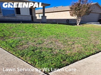 Landscaping In San Antonio,78261,Landscaping Cleanup by Ws Lawn Care, work completed in Dec , 2025
