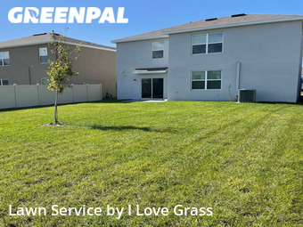 Lawn Maintenance nearby Wesley Chapel, FL, 