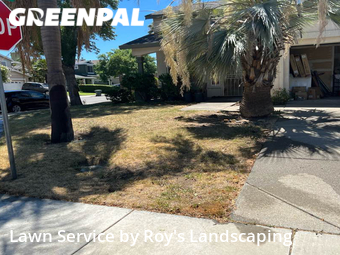 Grass Cutting nearby Tracy, CA, 