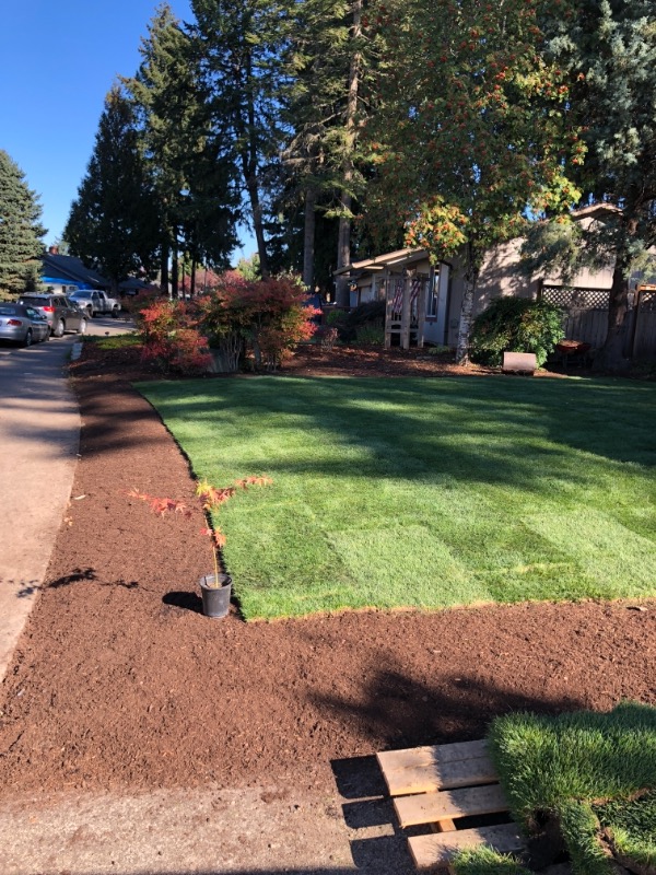 affordable-grass-cutting-businesses-in-Vancouver-WA