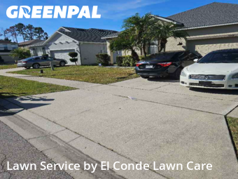 Grass Cut nearby Kissimmee, FL, 