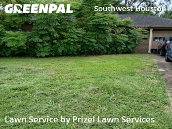 Lawn Servicein Bellaire,77401,Lawn Cutting by Prizel Lawn Services, work completed in Nov , 2025