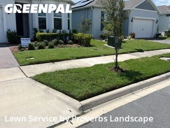 Grass Cutting nearby Kissimmee, FL, 