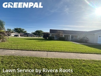 Lawn Cut nearby Kissimmee, FL, 