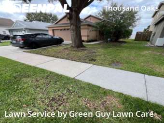 Lawn Mowing Service nearby Trinity, FL, 