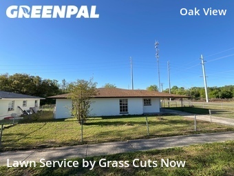 Lawn Cutting nearby Dade City, FL, 