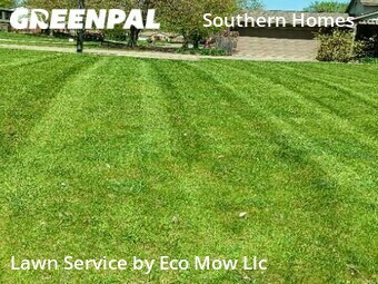 Lawn Cut nearby Indianapolis, IN, 