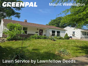 Lawn Service nearby Cincinnati, OH, 