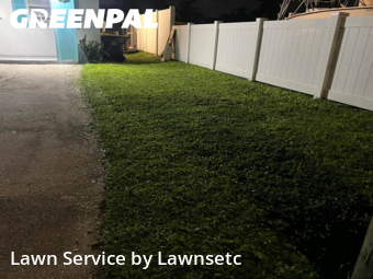 Garden Trimming in Dania Beach, 33004, Yard Grooming by Lawnsetc, work completed in Nov , 2025
