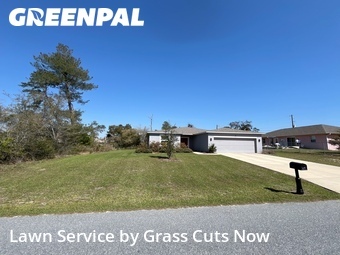 Lawn Cut nearby Ocala, FL, 