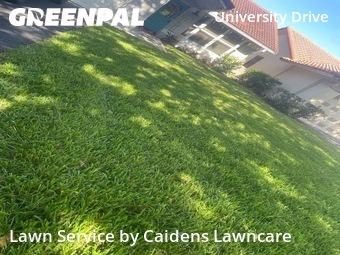 Yard Cutting nearby Coral Springs, FL, 