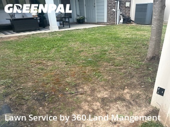 Yard Cutting nearby Thompsons Station, TN, 