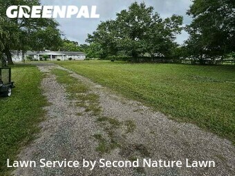 Lawn Cutting nearby Valrico, FL, 