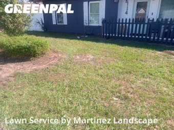 Lawn Management in Eustis, 32726, Yard Grooming by Martinez Landscape, work completed in Oct , 2025
