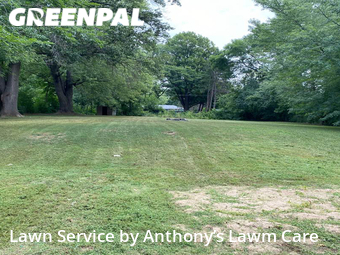 Grass Cut nearby Hopkins, MN, 