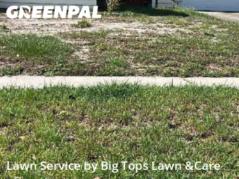 Yard Work in University, 32817, Property Maintenance by Big Tops Lawn &Care, work completed in Nov , 2025