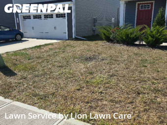 Yard Grooming in Marysville, 43040, Grass Cutting by Lion Lawn Care , work completed in Nov , 2025