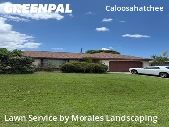 Lawn Cut nearby Cape Coral, FL, 