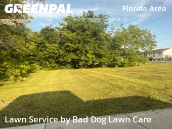 Lawn Care Service nearby New Orleans, LA, 