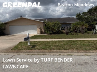 Yard Cutting nearby Tampa, FL, 