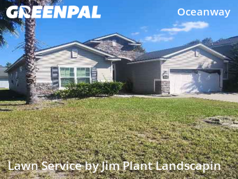 Grass Services in Jacksonville, 32218, Grass Care by Jim Plant Landscapin, work completed in Nov , 2025