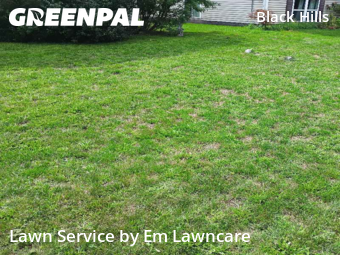 Lawn Mow nearby Grand Rapids, MI, 