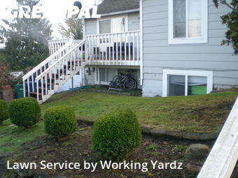 Lawn Mowing nearby Seattle, WA, 