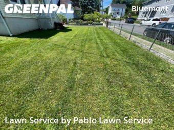 Grass Cutting nearby Arlington, VA, 