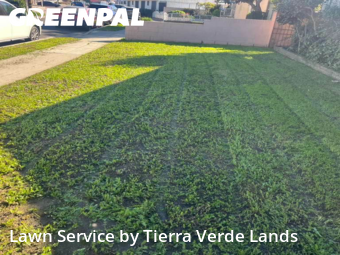 Lawn Maintenance nearby Lynwood, CA, 