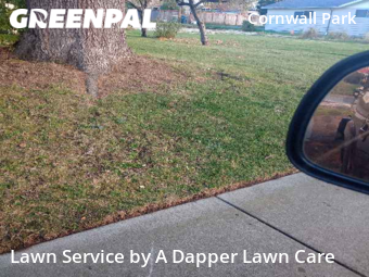 Grass Cut nearby Bellingham, WA, 