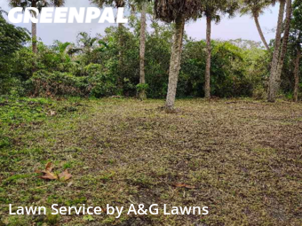 Lawn Mow nearby West Melbourne, FL, 