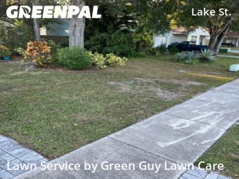 Lawn Care nearby Palm Harbor, FL, 