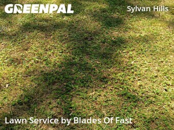 Grass Cutting nearby Atlanta, GA, 