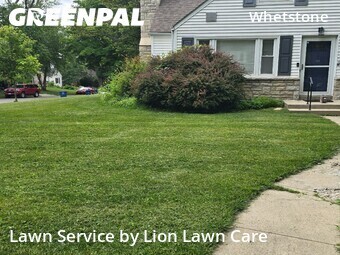 Lawn Care nearby Columbus, OH, 