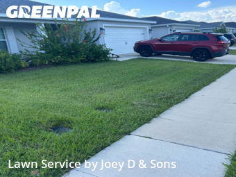 Grass Cutting nearby Lakeland, FL, 