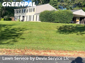 Yard Management in Silver Spring, 20905, Lawn Care by Deviv Service Llc, work completed in Dec , 2025