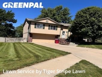 Yard Cutting nearby Papillion, NE, 