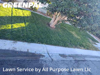 Commercial Landscaping In Las Vegas,89123,Landscaping by All Purpose Lawn Llc, work completed in Dec , 2025