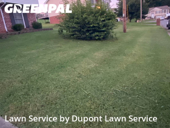 Yard Cutting nearby Clarksville, TN, 