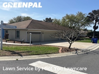 Lawn Mow nearby Tavares, FL, 